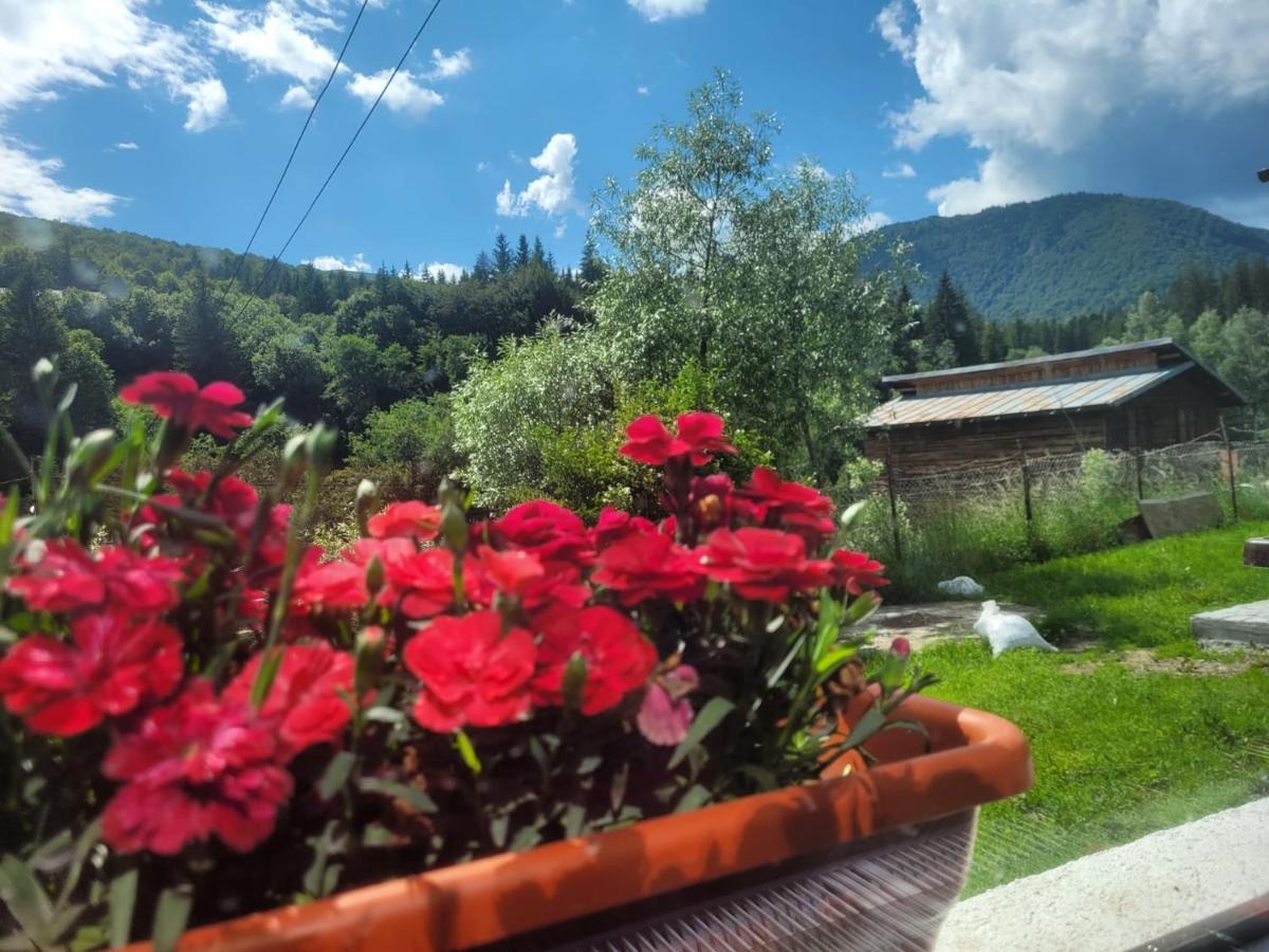 Poarta Zaganului Cheia Hotel Cheia  Buitenkant foto