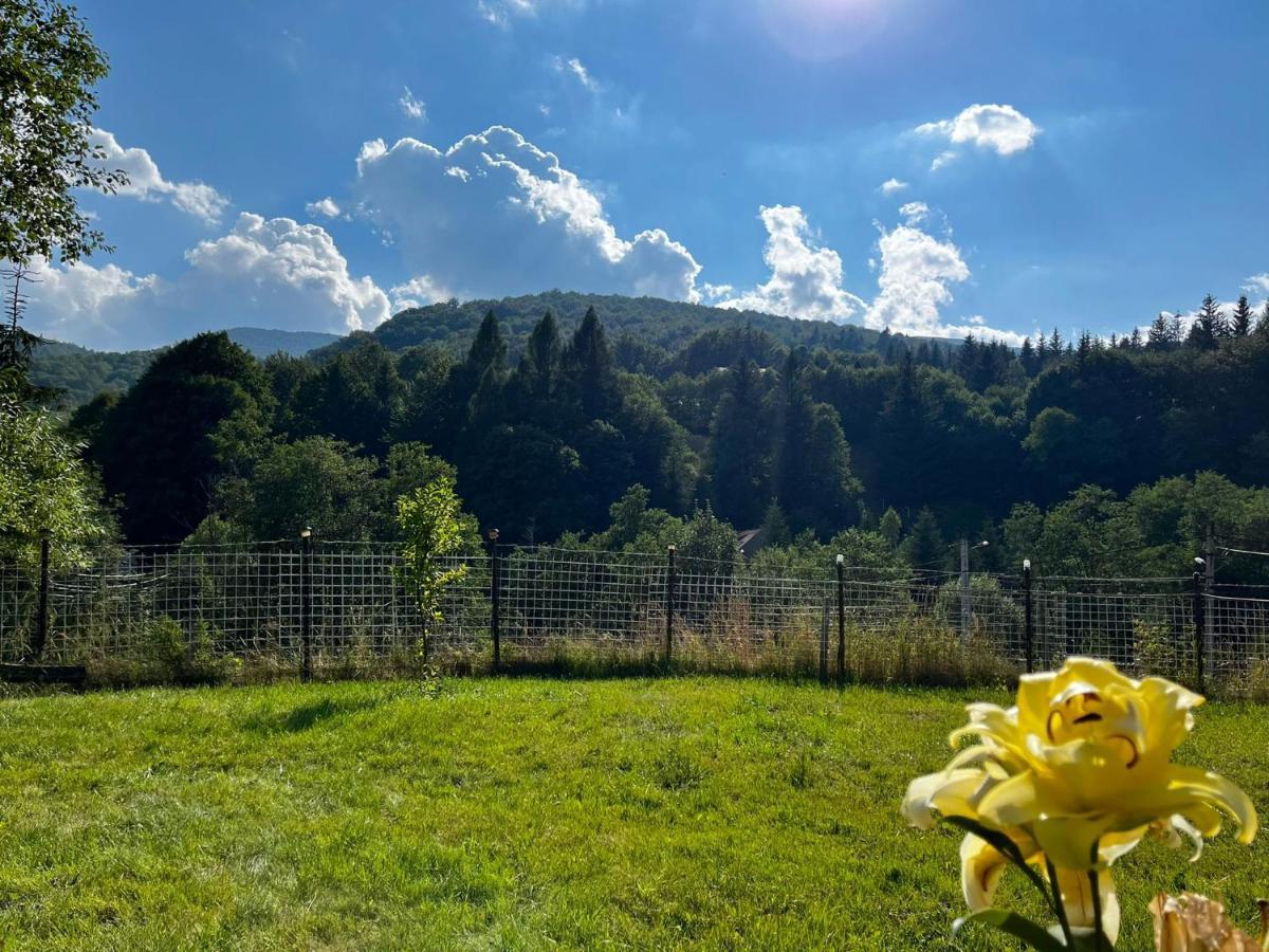 Poarta Zaganului Cheia Hotel Cheia  Buitenkant foto