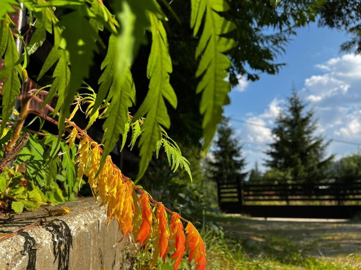 Poarta Zaganului Cheia Hotel Cheia  Buitenkant foto